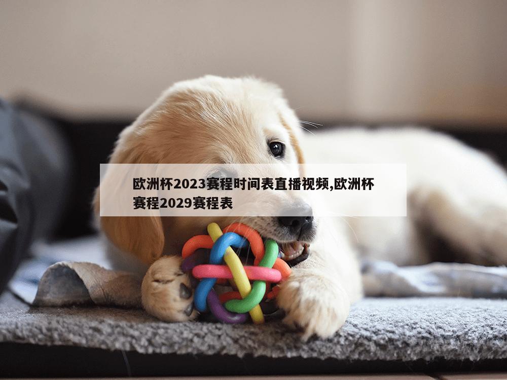 欧洲杯2023赛程时间表直播视频,欧洲杯赛程2029赛程表