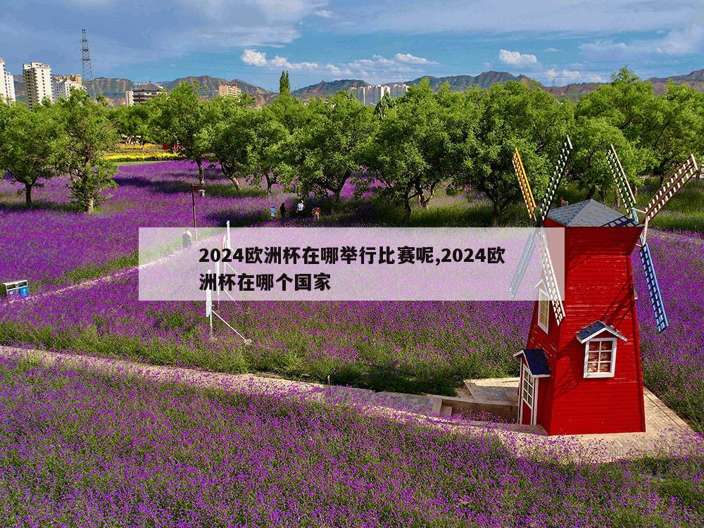 2024欧洲杯在哪举行比赛呢,2024欧洲杯在哪个国家